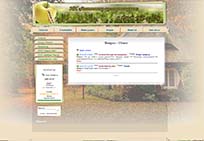 Пример созданных сайтов в Люберцах